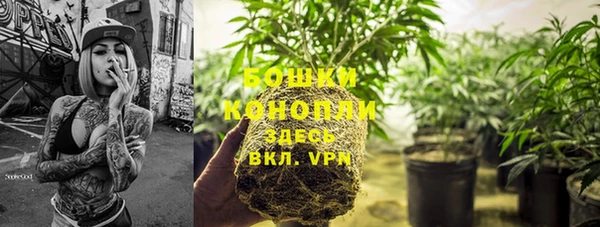 круглые Богданович