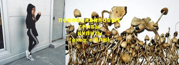MESCALINE Богородицк