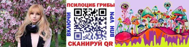 Галлюциногенные грибы Cubensis  Вязники 