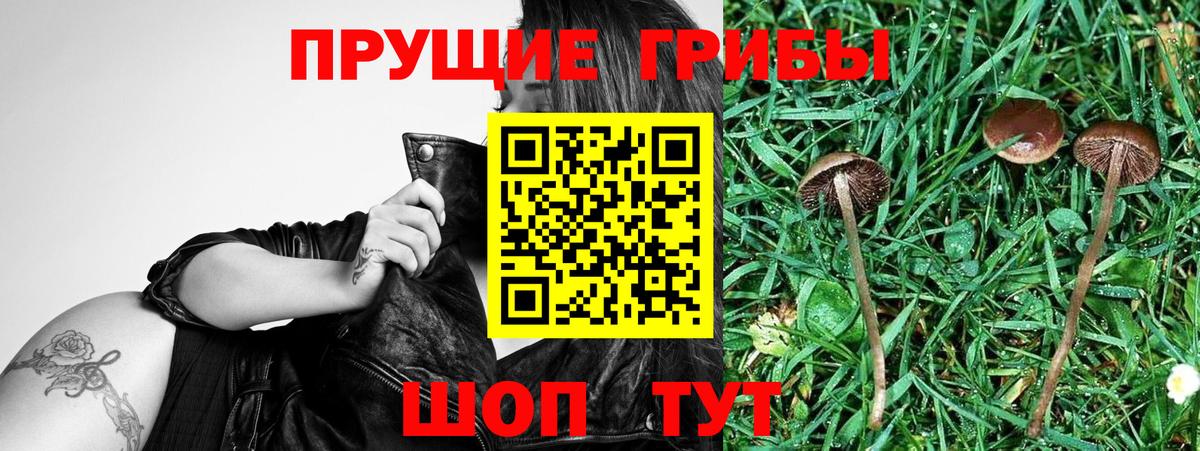 Псилоцибиновые грибы Magic Shrooms Вязники