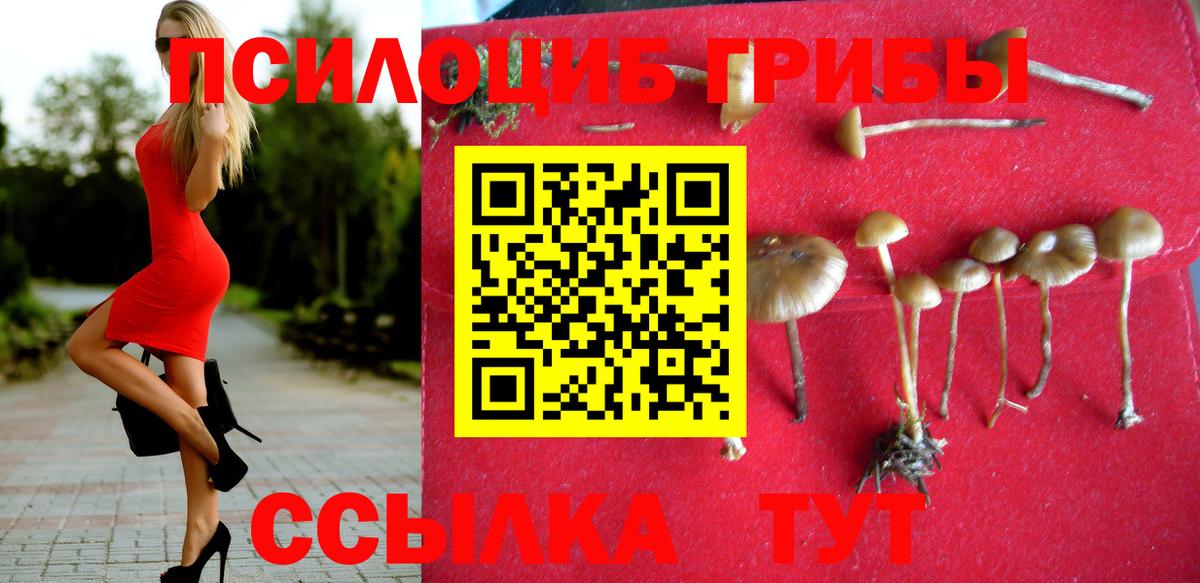 Галлюциногенные грибы GOLDEN TEACHER  Псилоцибиновые грибы Psilocybe  Вязники 