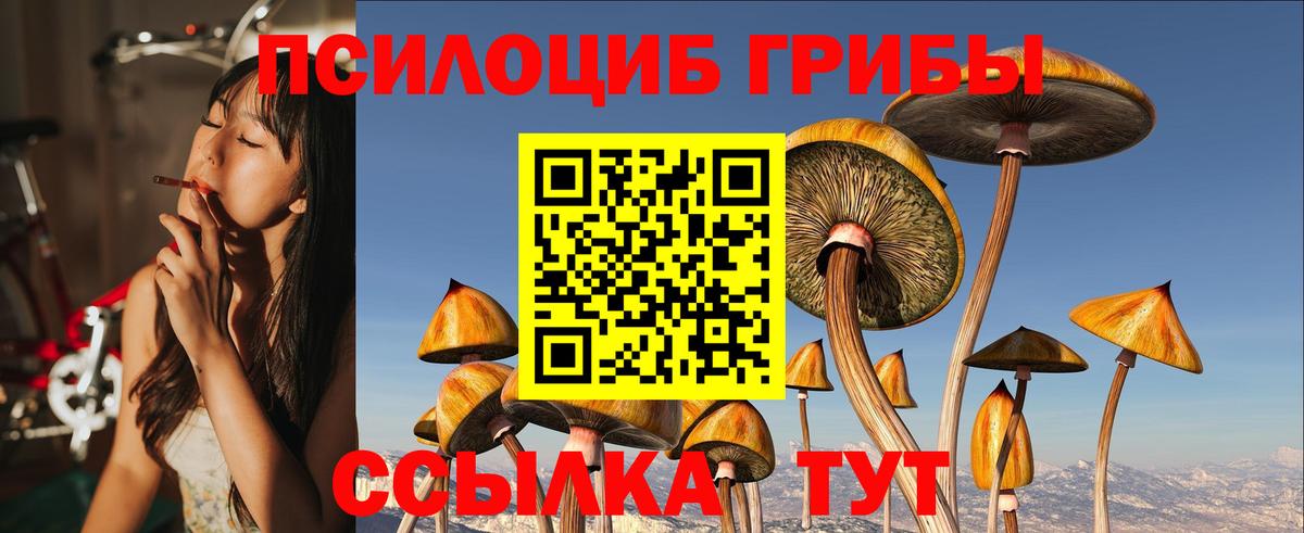 Вязники  Псилоцибиновые грибы Psilocybe  где купить наркотик  Галлюциногенные грибы Psilocybe  Вход с VPN 
